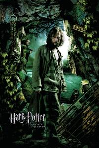 Konsttryck Harry Potter and the Prisoner of Azkaban - Sirius