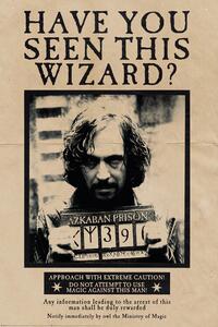 Poster, Affisch Harry Potter - Wanted Sirius Black, (61 x 91.5 cm)