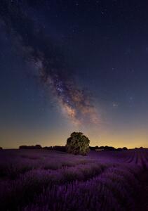 Fotografi Milky Way dreams, Carlos Hernandez Martinez, (26.7 x 40 cm)