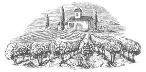 Illustration Rural landscape with villa, vineyard fields, DenPotisev