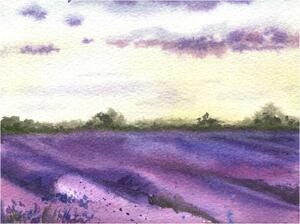 Illustration Watercolor lavender field, hand drawn Provencal, Elena Dorosh