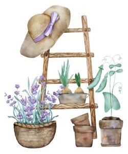 Illustration Beautiful lavender provence watercolor illustration, VYCHEGZHANINA