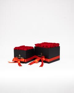 Rosbox Medium - Röd - Rosbox Vit