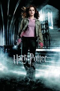 Konsttryck Harry Potter and the Goblet of Fire - Hermione