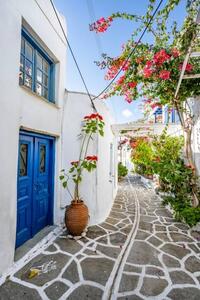 Fotografi White Cycladic houses with blue door, imageBROKER/Mara Brandl