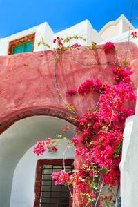 Fotografi Traditional greek architecture. Santorini island, Greece., Olga_Gavrilova