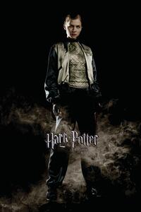 Konsttryck Harry Potter and the Goblet of Fire - Fleur