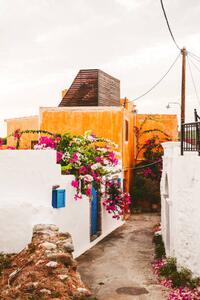 Fotografi Street of Lachania, Rhodes island, cunfek