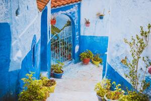 Fotografi Chefchaouen Blue city of Morocco, kotangens