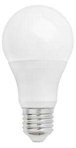 LED-lampa GLS E27/10W/230V