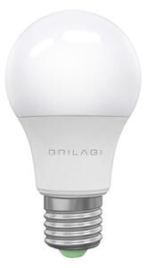 LED Glödlampa ECOLINE A60 E27/15W/230V 6500K - Brilagi