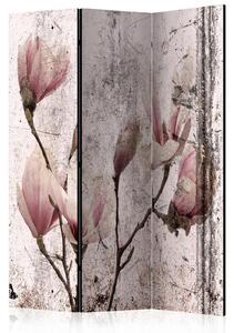 Rumsavdelare / Skärmvägg - Magnolia Curtain - 135x172