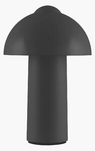 Bärbar bordslampa Buddy IP44