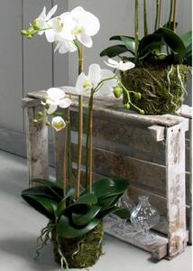 Emerald Konstväxt orkidé 70 cm vit