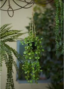 Emerald Konstväxt ceropegia i kruka hängande 50 cm
