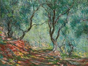 Bildreproduktion Olive Trees in the Moreno Garden (1884), Claude Monet