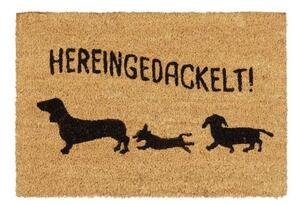 Dörrmatta i kokosnöt "Hereingedackelt"