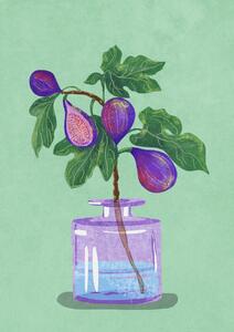 Illustration Figs Branch In Vase, Raissa Oltmanns, (30 x 40 cm)