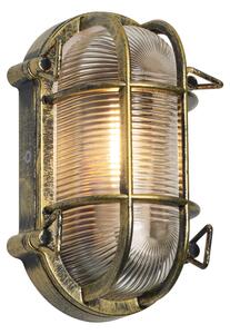 Utomhus Vägg- och Taklampa Antikguld 5,2cm Oval IP44 - Noutica