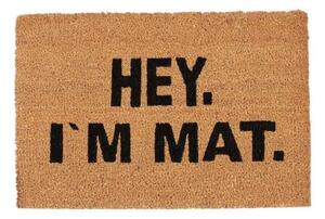 Dörrmatta kokosfiber "Hey. I'm Mat"