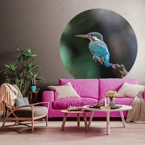 WallArt Tapet cirkelformad The Kingfisher 142,5 cm