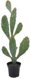 Konstväxt - Verde Kaktus 92 cm - Konstväxter, Inredningsdetaljer