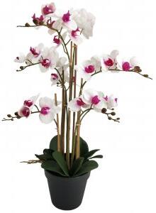 Konstväxt - Orkidé 8 stänglad H80 cm - Vit/Rosa - Konstväxter, Inredningsdetaljer