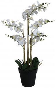 Konstväxt - Orkidé 8 stänglad H80 cm - Vit