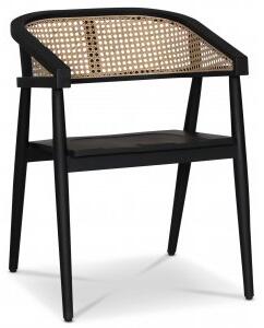 2 st Skaraborg karmstol - Svart mahogny/rotting + Fläckborttagare för möbler