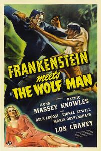 Illustration Frankenstein Meets Wolf Man