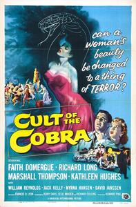 Illustration Cult Of Cobra