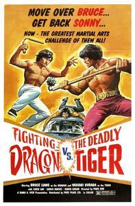 Illustration Fighting Dragon Vs Deadly Tiger