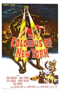 Illustration Colossus Of New York