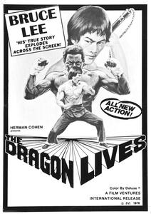 Illustration Bruce Lee Man Myth 02