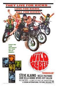 Illustration Wild Rebels