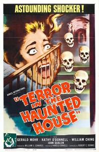 Illustration Terror In Haunted House