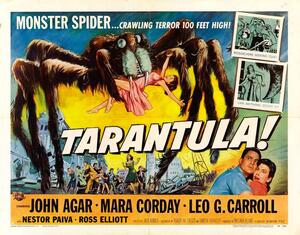 Illustration Tarantula 02