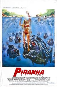 Illustration Piranha 02