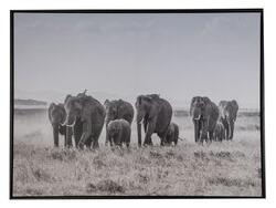Tavla Elefanter - 80x60 cm