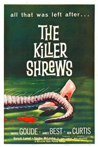 Illustration Killer Shrews