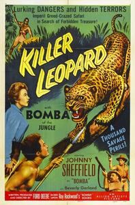 Illustration Killer Leopard