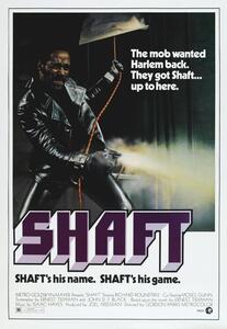 Illustration Shaft