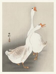 Konsttryck Two Geese (Japandi Vintage) - Ohara Koson, (30 x 40 cm)