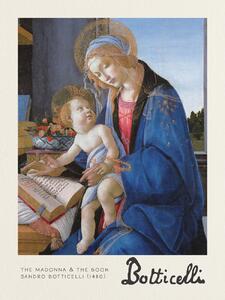 Bildreproduktion The Madonna & The Book - Sandro Botticelli, (30 x 40 cm)