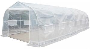 Tunnelväxthus 24m² | Stålram med transparent PE-plastöverdrag