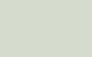 Pearl Colour - Absolute Matt Emulsion - 10 L