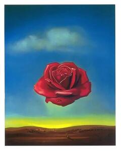 Konsttryck Meditative Rose, 1958, Salvador Dalí