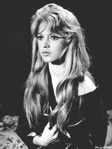 Fotografi Brigitte Bardot, 1958