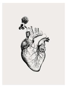 Illustration Heart Bloom, KsanaKalpa