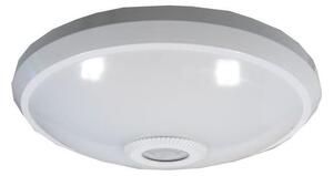 LED taklampa med fjärrkontroll LED/12W/230V
